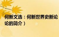 何新文选：何新世界史新论（关于何新文选：何新世界史新论的简介）