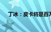 丁冰：皮卡将是百万级扩容潜力的品类