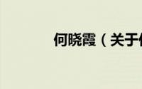 何晓霞（关于何晓霞的简介）