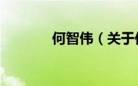 何智伟（关于何智伟的简介）