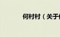 何村村（关于何村村的简介）