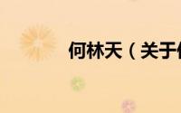 何林天（关于何林天的简介）