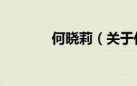 何晓莉（关于何晓莉的简介）