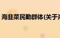 海韭菜民勤群体(关于海韭菜民勤群体的简介)