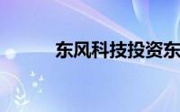 东风科技投资东风精冲工程公司