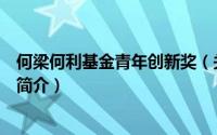 何梁何利基金青年创新奖（关于何梁何利基金青年创新奖的简介）
