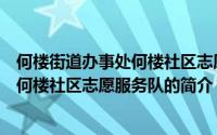 何楼街道办事处何楼社区志愿服务队（关于何楼街道办事处何楼社区志愿服务队的简介）