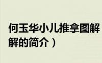 何玉华小儿推拿图解（关于何玉华小儿推拿图解的简介）