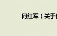 何红军（关于何红军的简介）