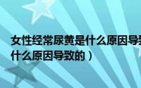 女性经常尿黄是什么原因导致的怎么治疗（女性经常尿黄是什么原因导致的）