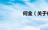 何金（关于何金的简介）