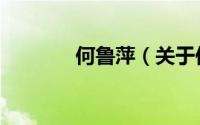 何鲁萍（关于何鲁萍的简介）