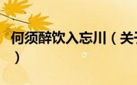 何须醉饮入忘川（关于何须醉饮入忘川的简介）