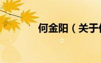 何金阳（关于何金阳的简介）