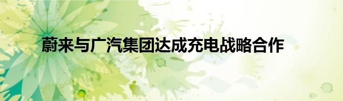 蔚来与广汽集团达成充电战略合作