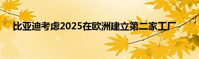 比亚迪考虑2025在欧洲建立第二家工厂