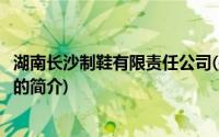 湖南长沙制鞋有限责任公司(关于湖南长沙制鞋有限责任公司的简介)