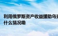 利用俄罗斯资产收益援助乌克兰？欧盟达成了初步协议 到底什么情况嘞