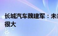 长城汽车魏建军：未来三年市场竞争强度仍然很大