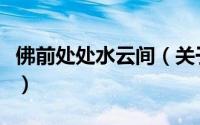 佛前处处水云间（关于佛前处处水云间的简介）