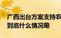 广西出台方案支持农业和乡村振兴人才培养 到底什么情况嘞