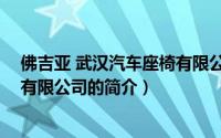 佛吉亚 武汉汽车座椅有限公司（关于佛吉亚 武汉汽车座椅有限公司的简介）