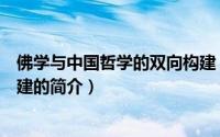 佛学与中国哲学的双向构建（关于佛学与中国哲学的双向构建的简介）