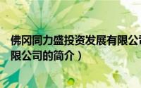 佛冈同力盛投资发展有限公司（关于佛冈同力盛投资发展有限公司的简介）