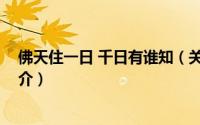 佛天住一日 千日有谁知（关于佛天住一日 千日有谁知的简介）