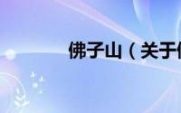 佛子山（关于佛子山的简介）