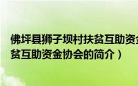 佛坪县狮子坝村扶贫互助资金协会（关于佛坪县狮子坝村扶贫互助资金协会的简介）