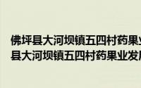 佛坪县大河坝镇五四村药果业发展专业技术协会（关于佛坪县大河坝镇五四村药果业发展专业技术协会的简介）