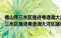 佛山市三水区推进粤港澳大湾区建设领导小组（关于佛山市三水区推进粤港澳大湾区建设领导小组的简介）