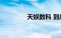 天娱数科 到底什么情况嘞