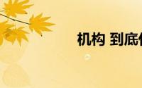 机构 到底什么情况嘞