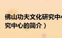 佛山功夫文化研究中心（关于佛山功夫文化研究中心的简介）