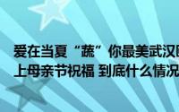 爱在当夏“蔬”你最美武汉颐湖公园用创意“蔬菜花束”送上母亲节祝福 到底什么情况嘞
