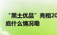 “黑土优品”亮相2024年中国品牌日活动 到底什么情况嘞