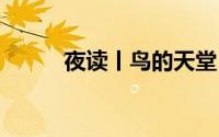 夜读丨鸟的天堂 到底什么情况嘞