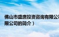 佛山市盛唐投资咨询有限公司（关于佛山市盛唐投资咨询有限公司的简介）