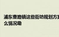 浦东曹路镇这些街坊规划方案局部有调整来看详情→ 到底什么情况嘞