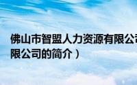 佛山市智盟人力资源有限公司（关于佛山市智盟人力资源有限公司的简介）