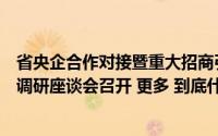 省央企合作对接暨重大招商引资驻京工作专班张家界市考察调研座谈会召开 更多 到底什么情况嘞