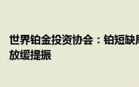 世界铂金投资协会：铂短缺局面将持续 需求受电动汽车增长放缓提振