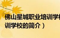 佛山星城职业培训学校（关于佛山星城职业培训学校的简介）