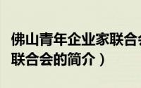佛山青年企业家联合会（关于佛山青年企业家联合会的简介）