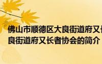 佛山市顺德区大良街道府又长者协会（关于佛山市顺德区大良街道府又长者协会的简介）