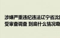 涉嫌严重违纪违法辽宁省沈阳市人民政府副秘书长卜世杰接受审查调查 到底什么情况嘞