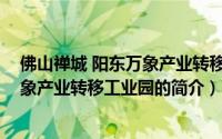 佛山禅城 阳东万象产业转移工业园（关于佛山禅城 阳东万象产业转移工业园的简介）
