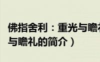 佛指舍利：重光与瞻礼（关于佛指舍利：重光与瞻礼的简介）